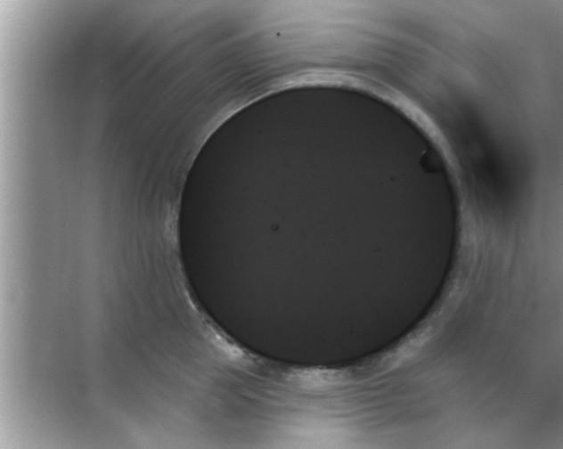 X0000070860953200606302042