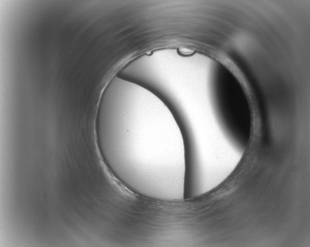 X0000070860954200606302042