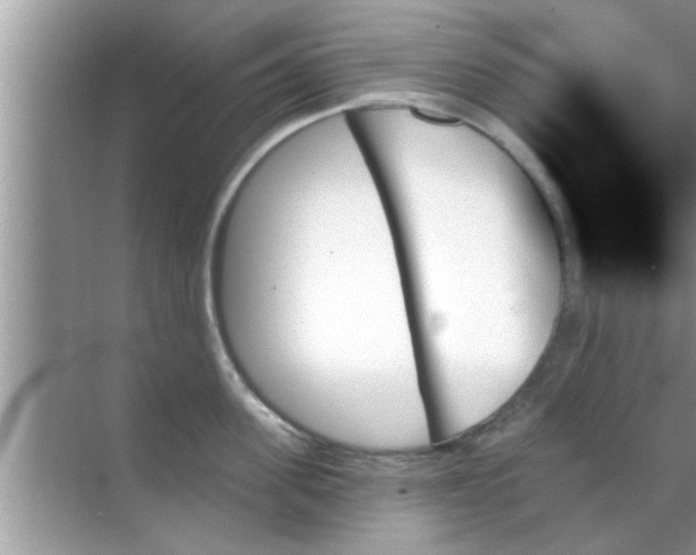 X0000070860955200606302042