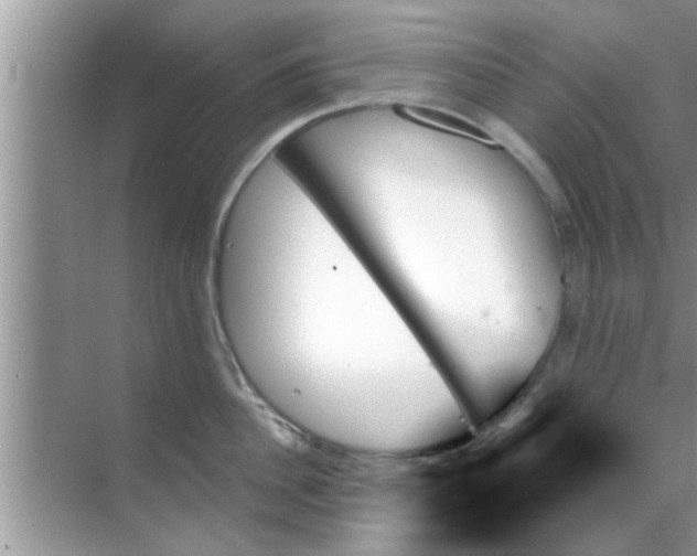 X0000070860956200606302042