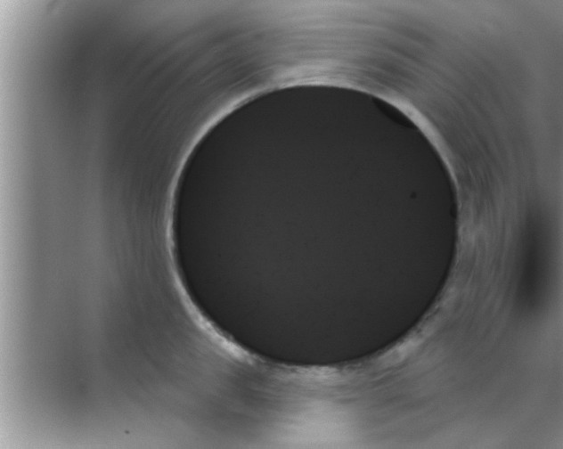 X0000070860957200606302042