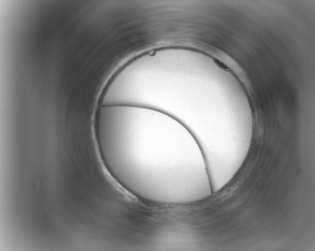 X0000070860958200606302042