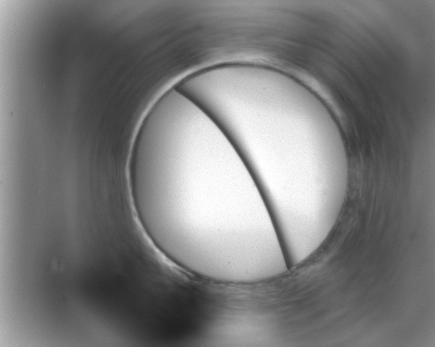 X0000070860959200606302042