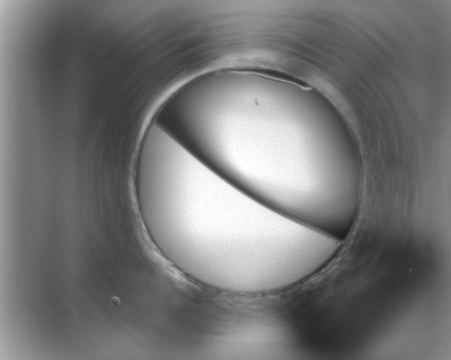 X0000070860960200606302042