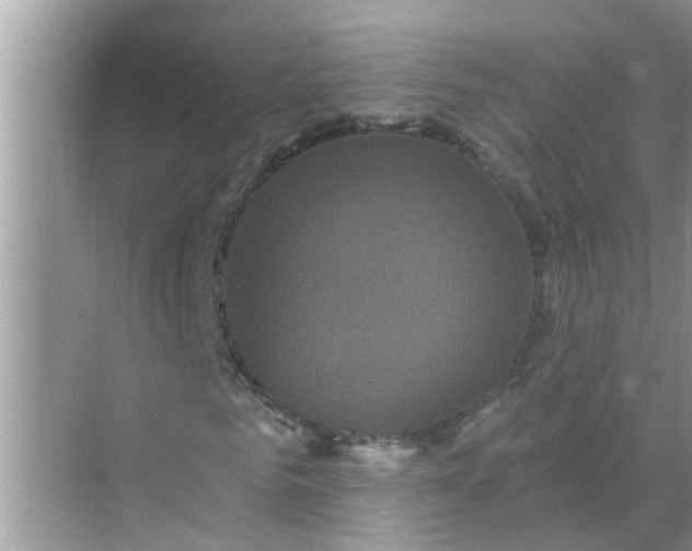 X0000070860961200606302042