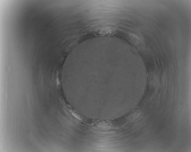 X0000070860962200606302042