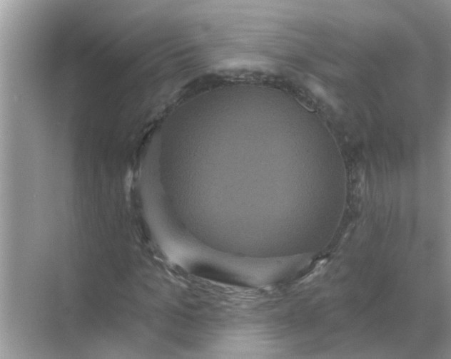 X0000070860965200606302042