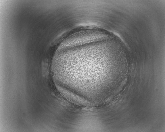 X0000070860967200606302041