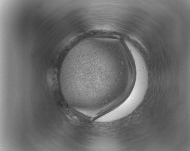 X0000070860968200606302041