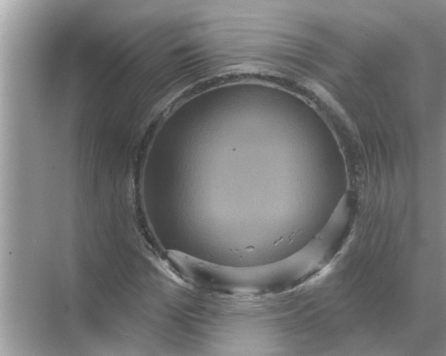 X0000070860969200606302041