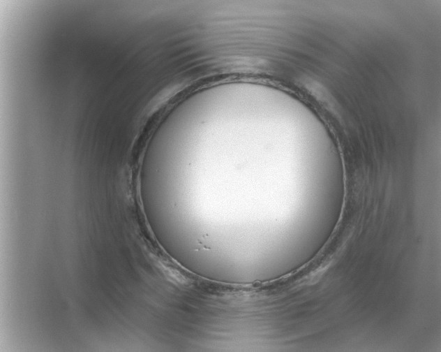 X0000070860970200606302041