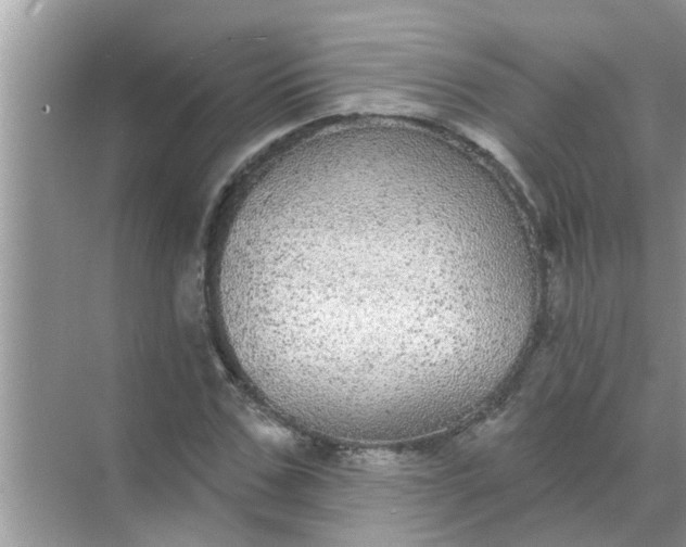 X0000070860971200606302041