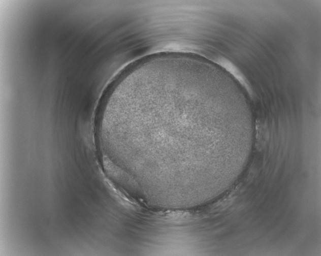 X0000070860972200606302041