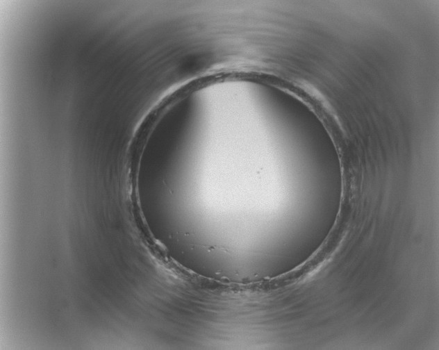 X0000070860973200606302041