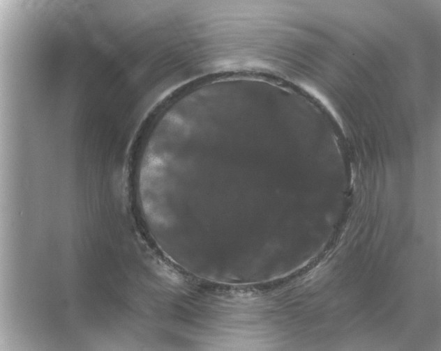 X0000070860975200606302041