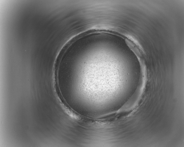 X0000070860976200606302041