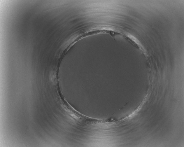 X0000070860977200606302041