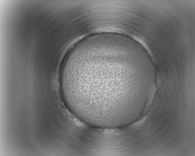 X0000070860979200606302041