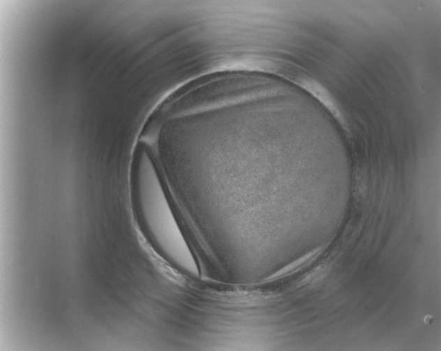 X0000070860980200606302041