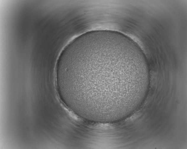 X0000070860982200606302041