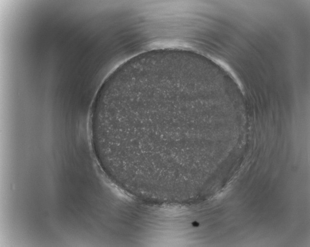 X0000070860983200606302041