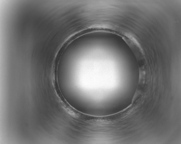 X0000070860984200606302041