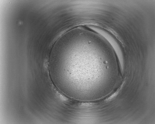 X0000070860985200606302041