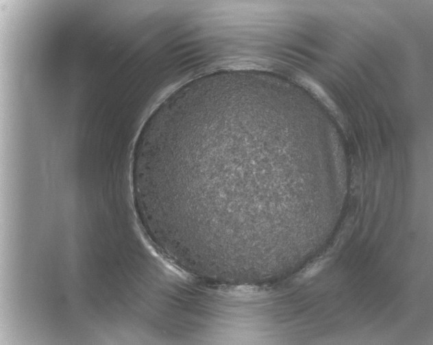 X0000070860986200606302041