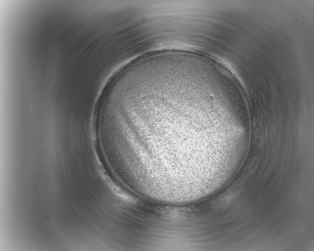 X0000070860987200606302041