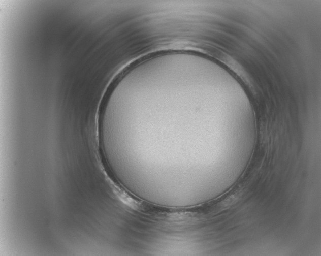 X0000070860988200606302041