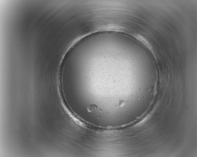 X0000070860989200606302041