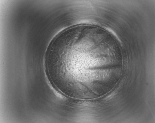 X0000070860991200606302041