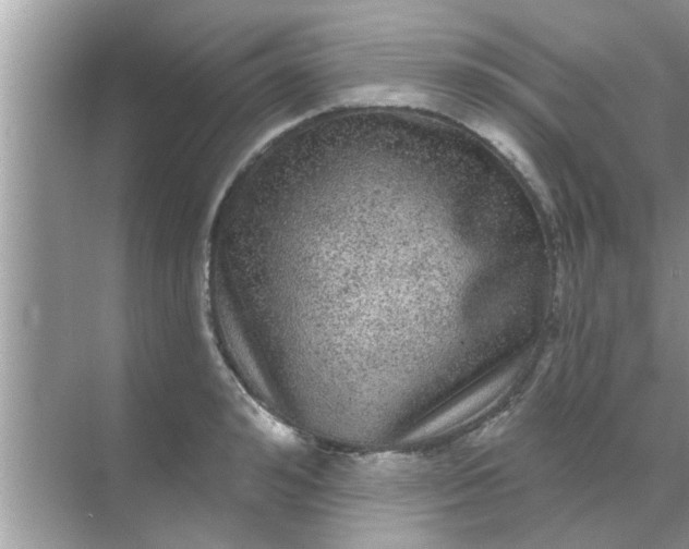 X0000070860992200606302041