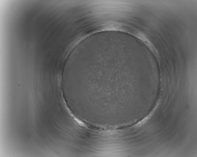 X0000070860993200606302041