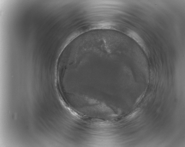 X0000070860994200606302041