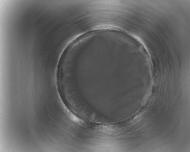 X0000070860995200606302041