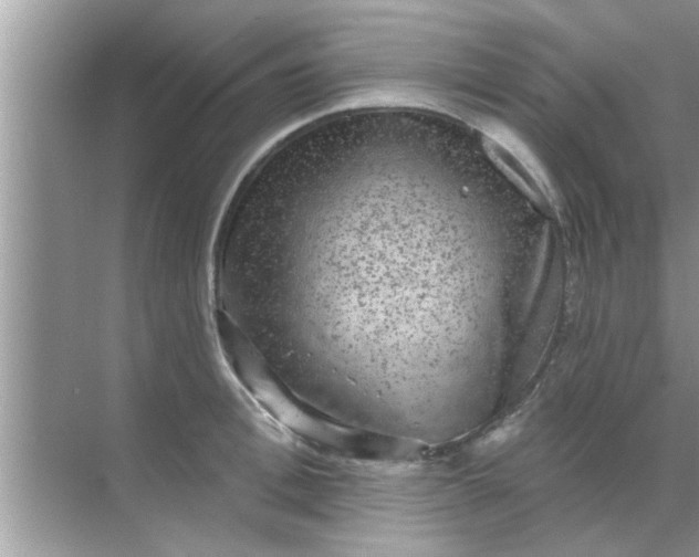 X0000070860996200606302041