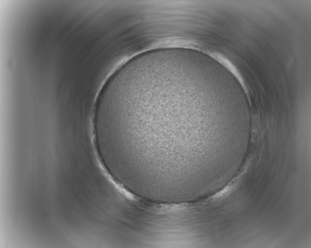 X0000070860997200606302041