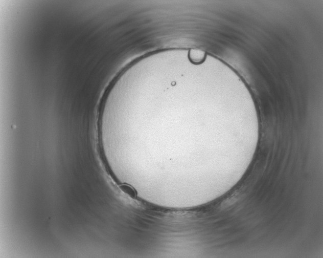 X0000070861000200606302041