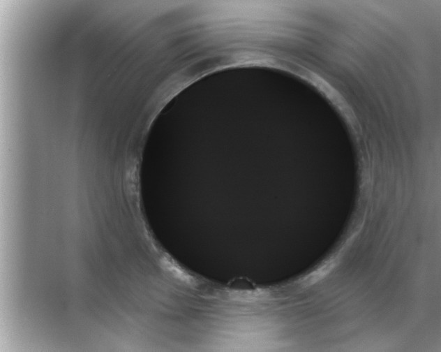 X0000070861001200606302041