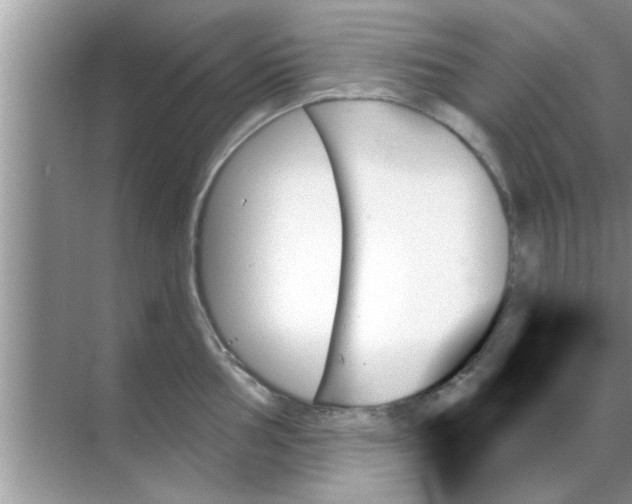 X0000070861002200606302041