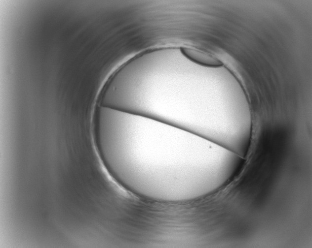 X0000070861003200606302041