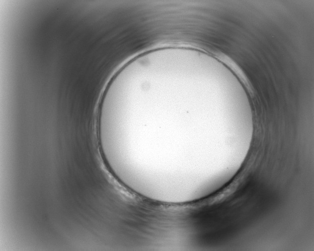 X0000070861004200606302041