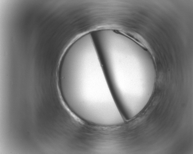 X0000070861005200606302041