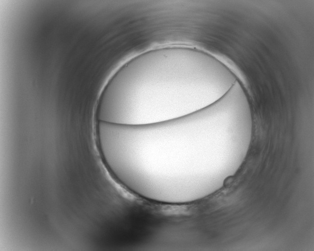 X0000070861006200606302041