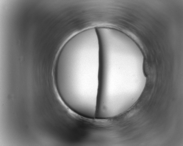 X0000070861007200606302041