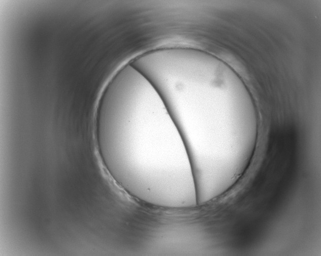 X0000070861008200606302041