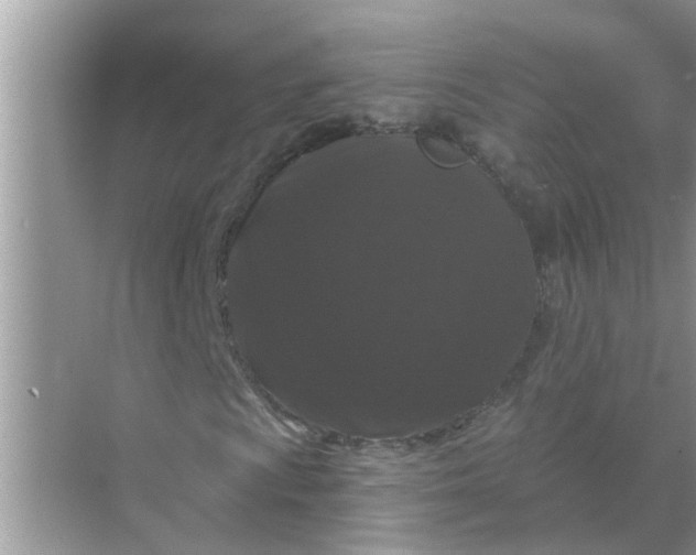 X0000070861009200606302040