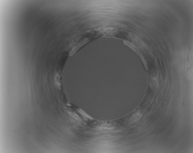 X0000070861010200606302040