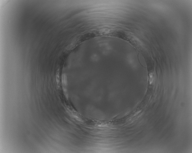 X0000070861011200606302040